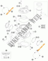 CILINDER / CILINDERKOP voor KTM 250 XC-W 2012