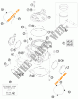 CILINDER / CILINDERKOP voor KTM 300 EXC-E SIX DAYS 2011