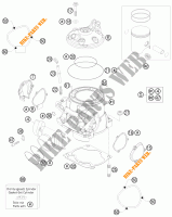 CILINDER / CILINDERKOP voor KTM 250 EXC SIX-DAYS 2011