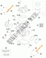 CILINDER / CILINDERKOP voor KTM 250 SX 2012