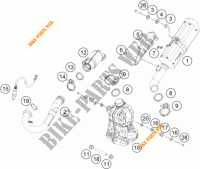 UITLAAT voor KTM 125 DUKE ORANGE 2018